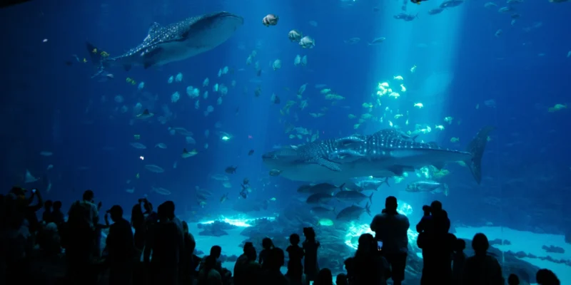 Acuario de Georgia Taroko tiburón ballena fallecido