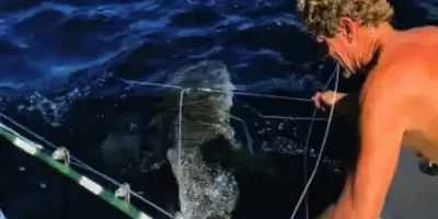 Trump indulta a dos buzos de Florida que liberaron a 19 tiburones de palangres por robo