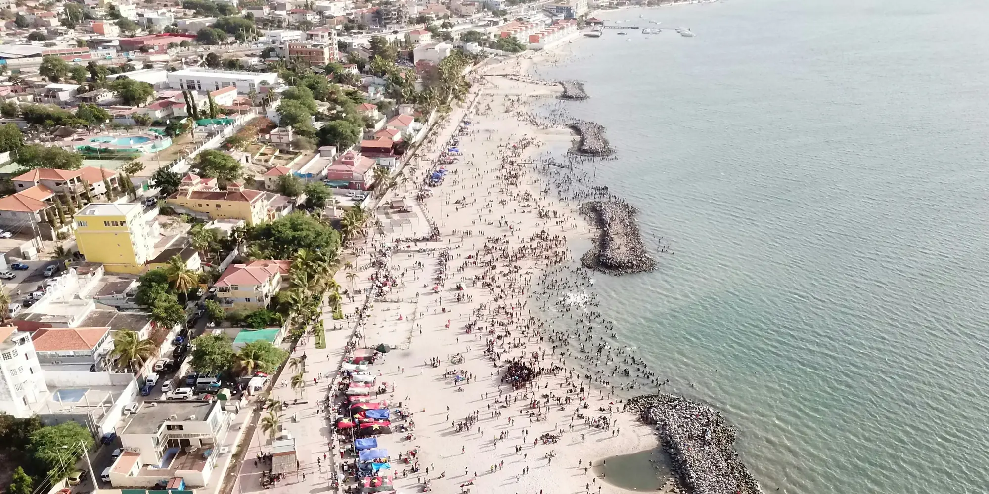Angola buceo con tiburones playa desde arriba