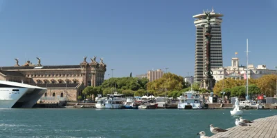 Barcelona: El Mediterráneo Envenenado – El Cazón Moteado Presenta Altos Niveles de Mercurio