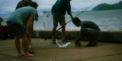 Pesca de tiburones con captura y liberación en Florida
