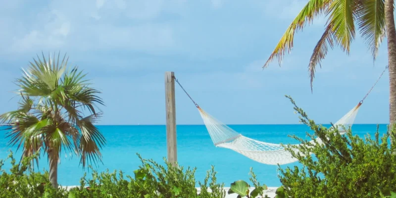 Hamaca y palmeras en las Bahamas buceando con tiburones