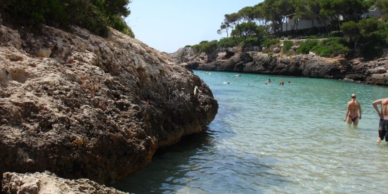 Alerta de tiburón en el Ballermann de Mallorca