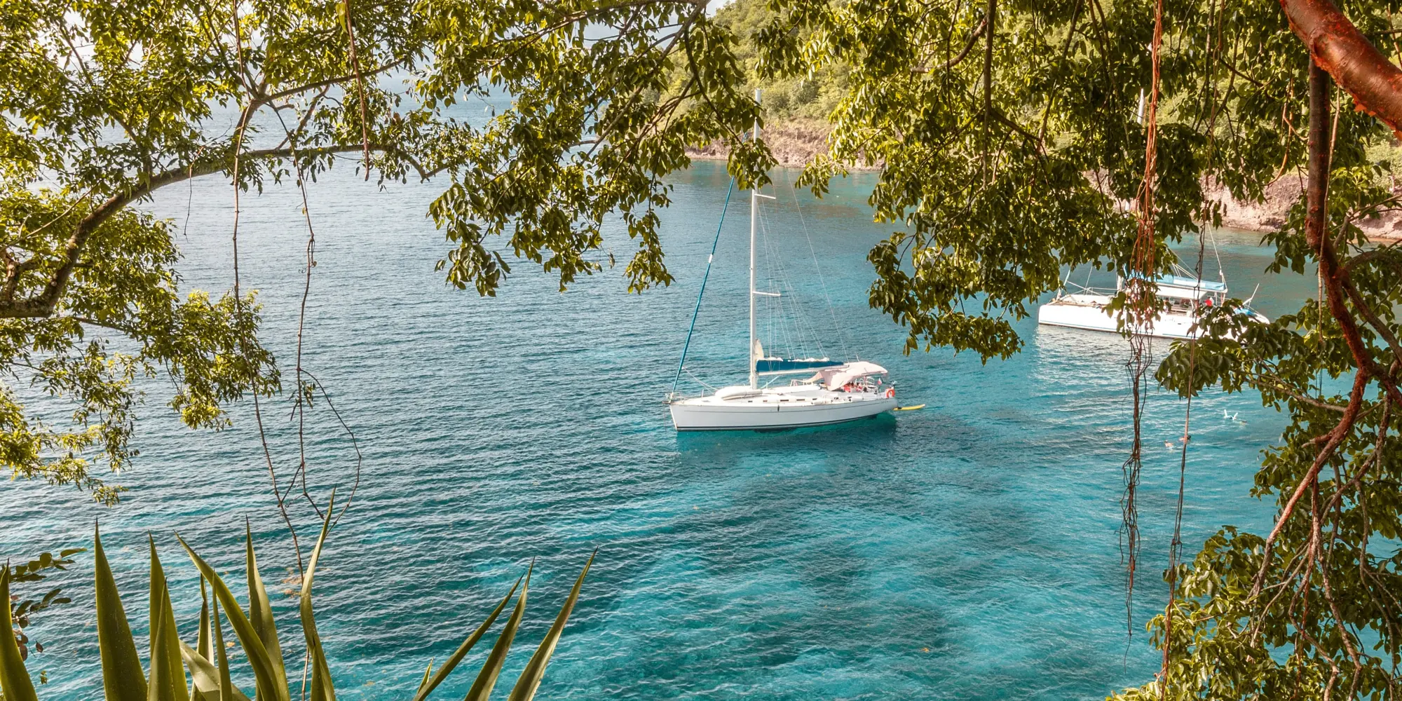 Martinica – vista desde la orilla al mar con dos veleros – buceo con tiburones