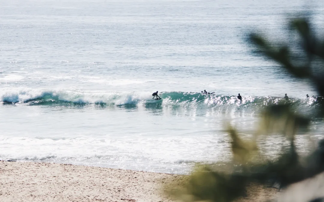 Científico alemán sobrevive a un ataque de tiburón mientras surfeaba