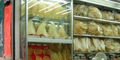 Aletas de tiburón expuestas en una tienda de China