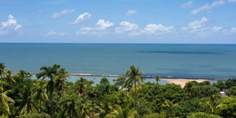 Playa de Boa Viagem en Brasil con palmeras