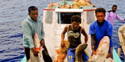 Pescadores con tiburones capturados en un barco en aguas de Indonesia