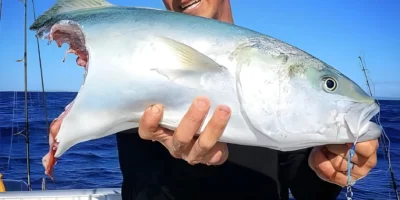 Pescador sostiene un pez mordido por un tiburón