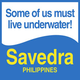 Logotipo de Savedra Dive Center