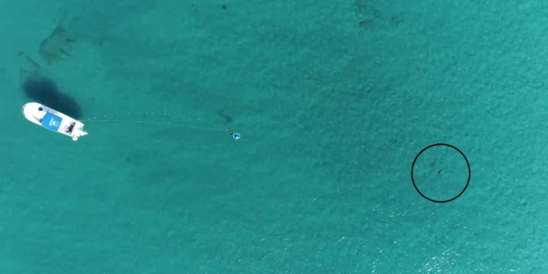Vista aérea con dron del montaje experimental frente a Florida, con un barco, un altavoz submarino y un tiburón señalado con un círculo negro.